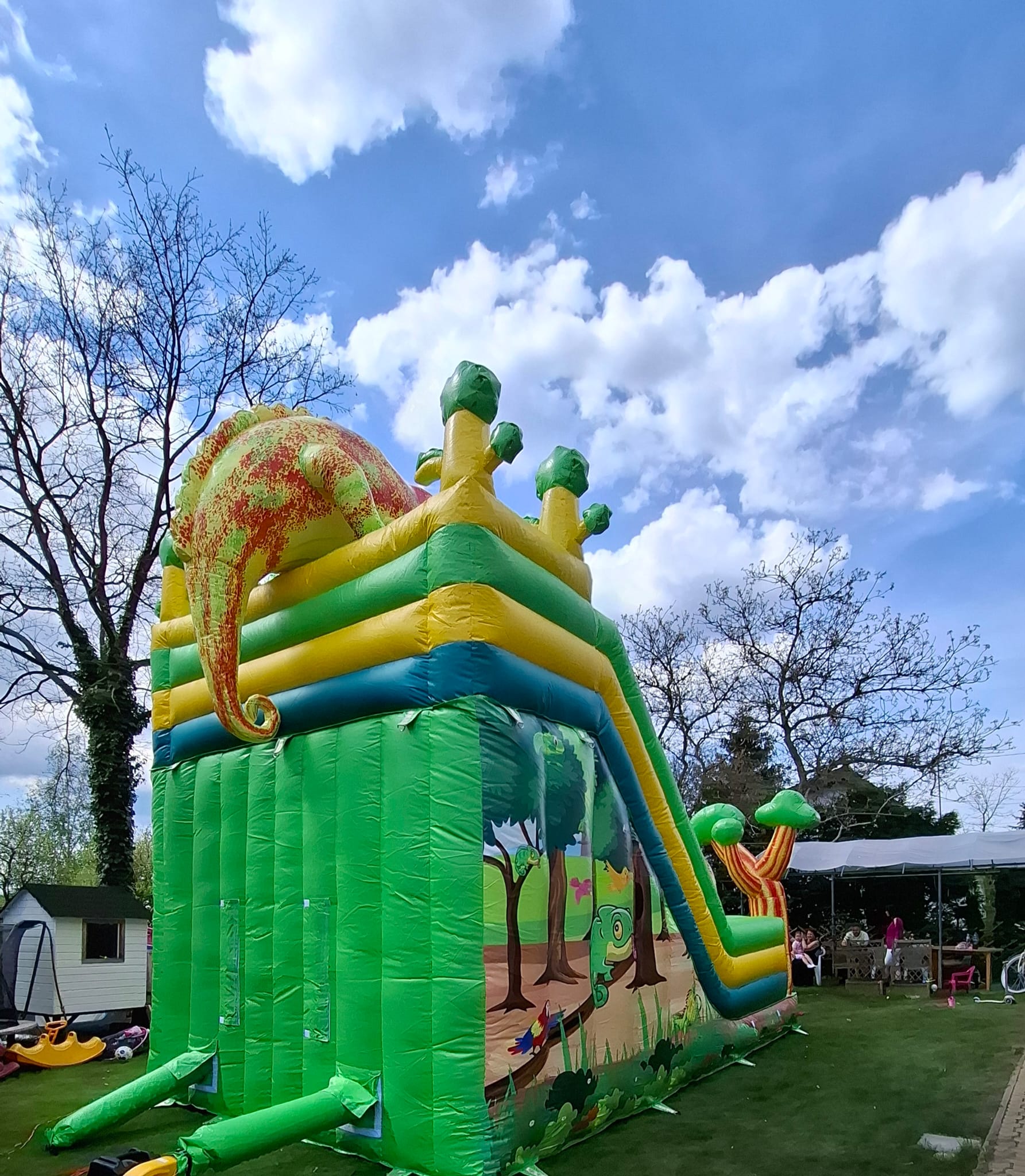 Dmuchaniec Koala – zjeżdżalnia dmuchana 7m x 4m na wynajem Legionowo